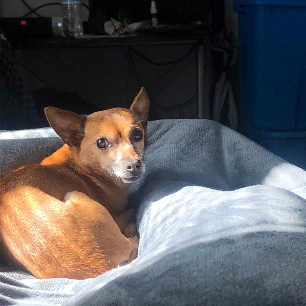 Meet your Posher, Isaiah